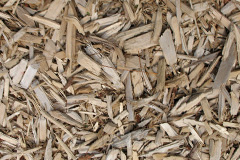 biomass boilers Trotton